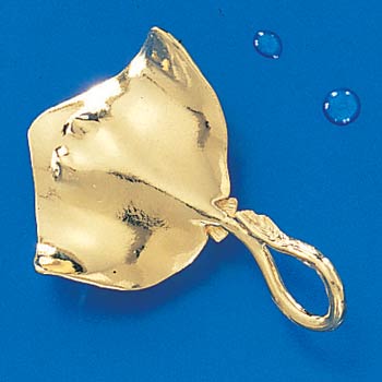 Ray Pendant in 14K gold