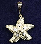 Sea Star Pendant