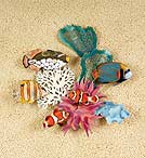 Tropical Fish