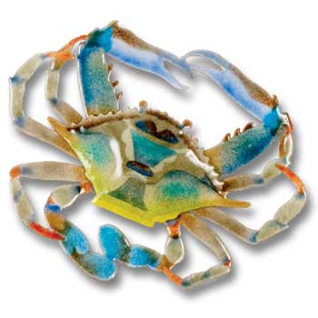 Green Crab Sculpture