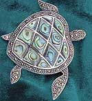 Sea Turtle Pin