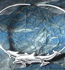 Dolphin Slide & Neckwire