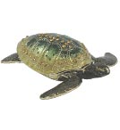 Turtle Box