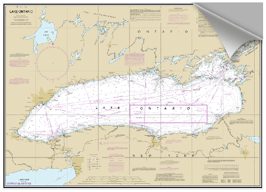 Nautical Chart Print Fabric