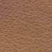 sahara